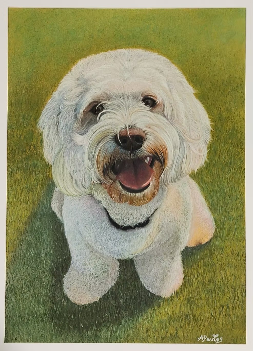 Bespoke pet portrait
