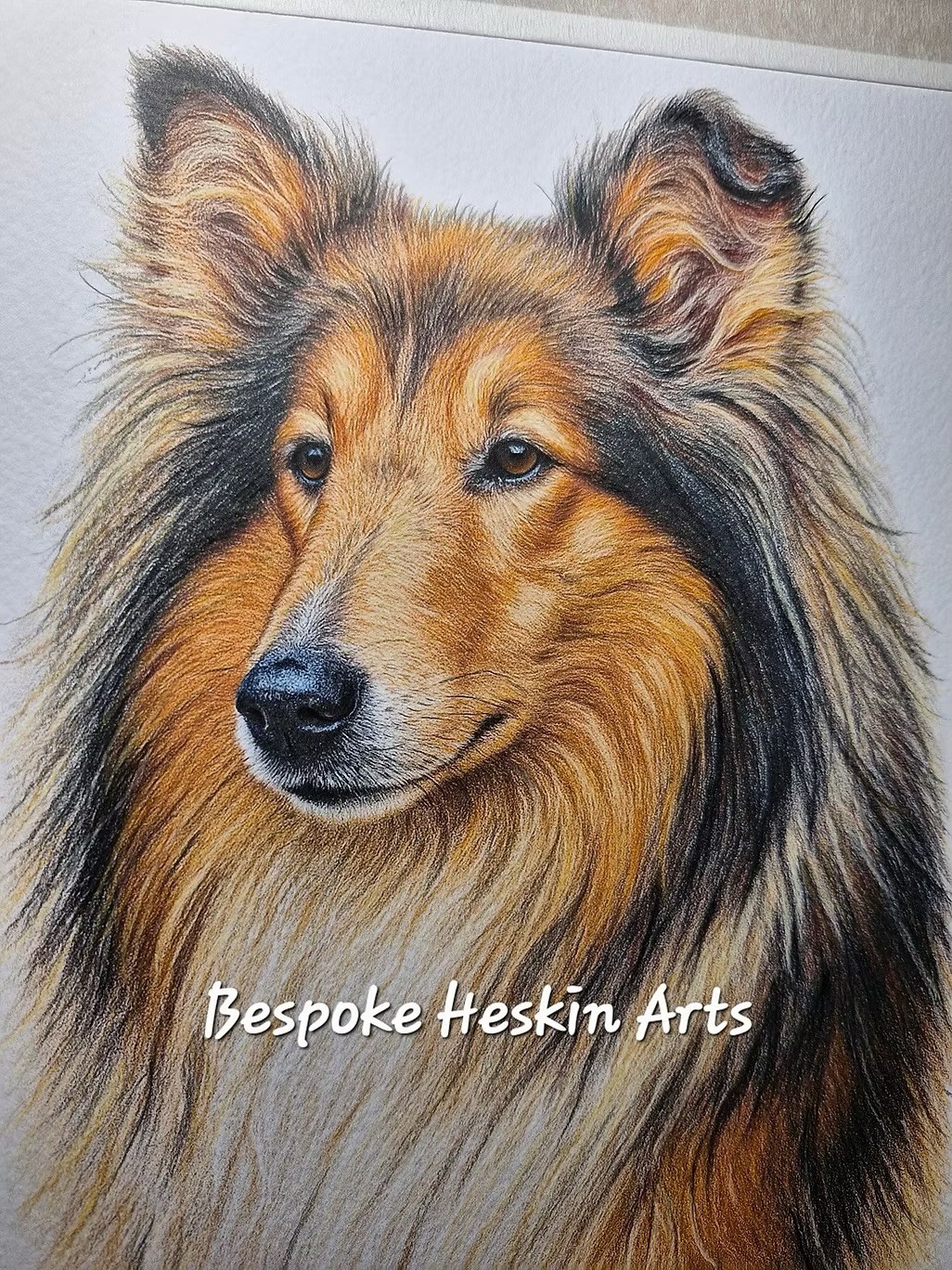 Bespoke pet portrait