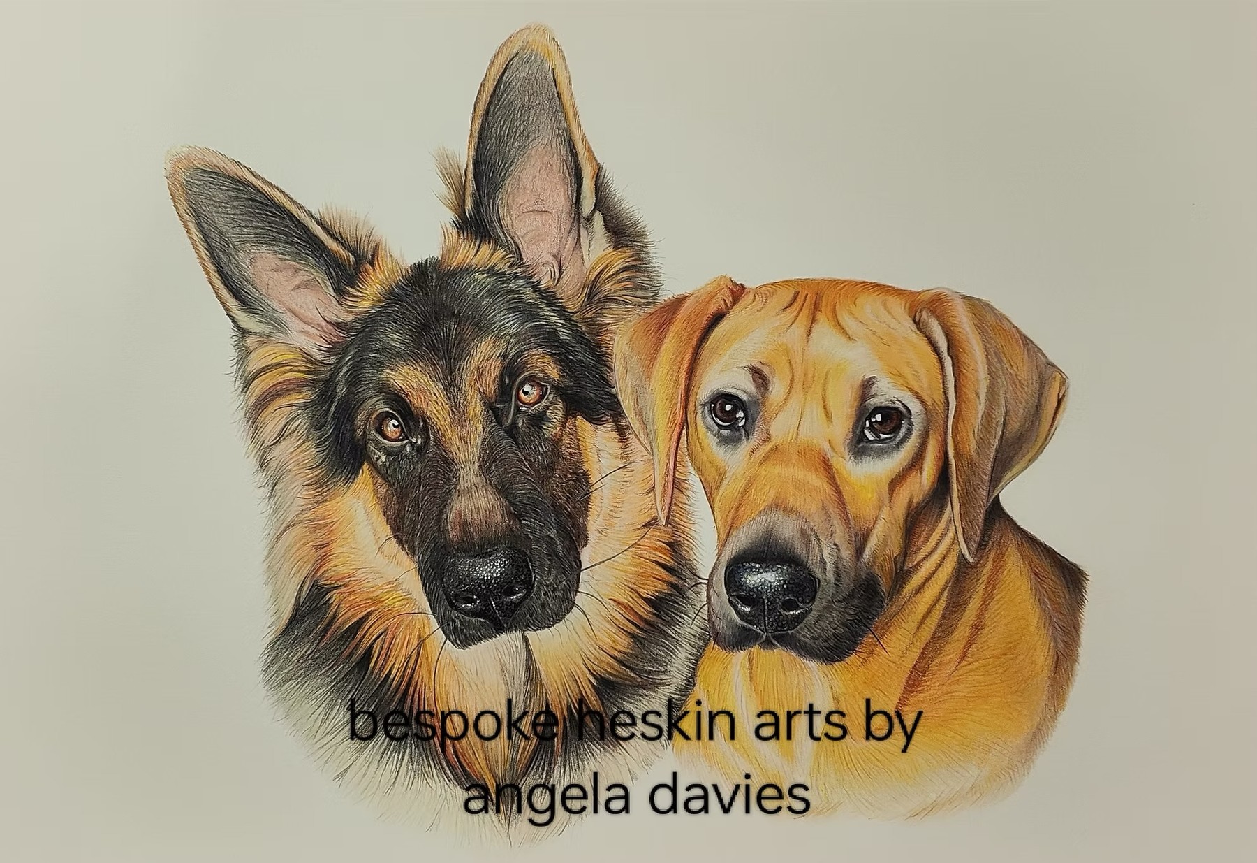 Two-pet portrait