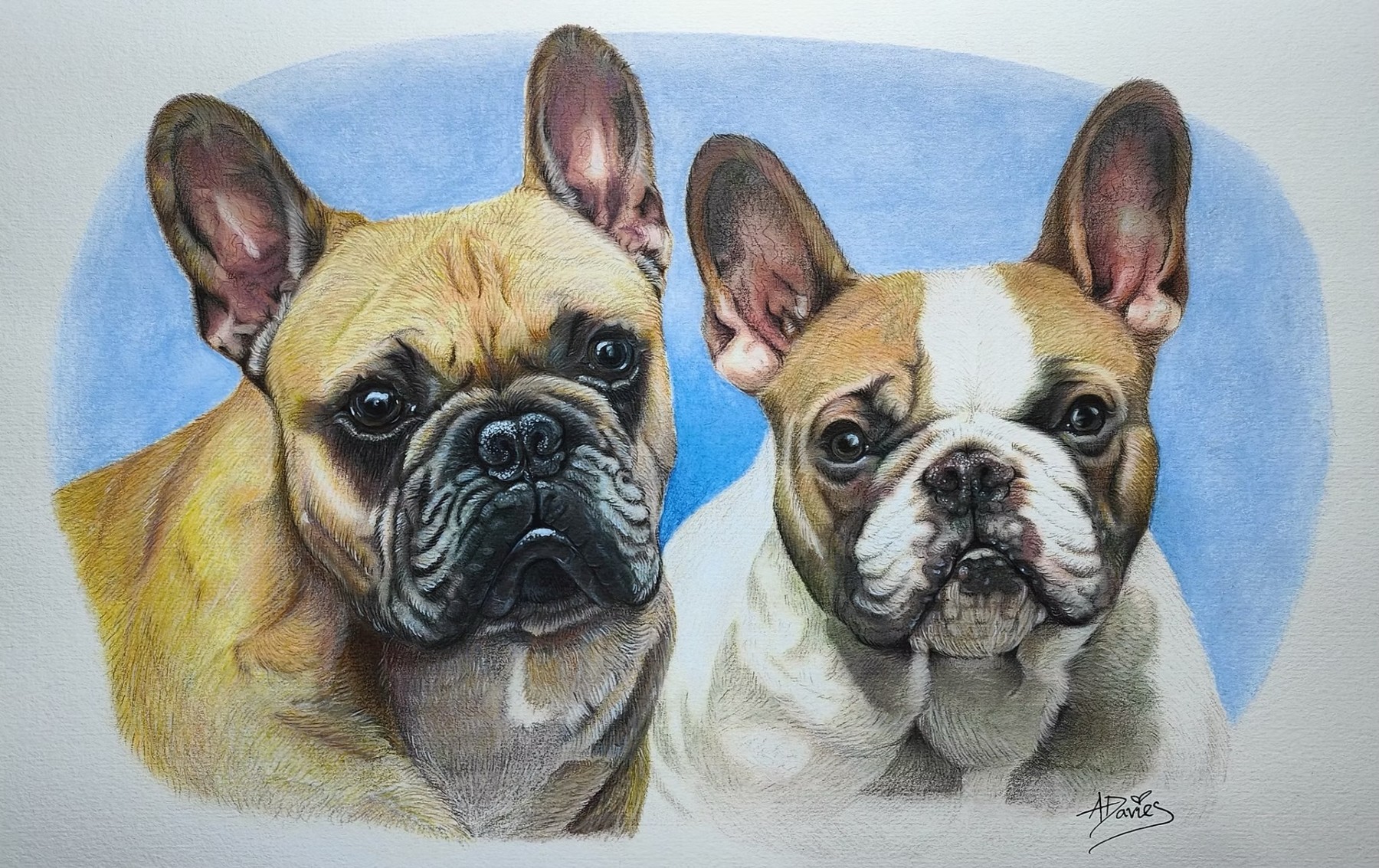 Multiple-pet portrait
