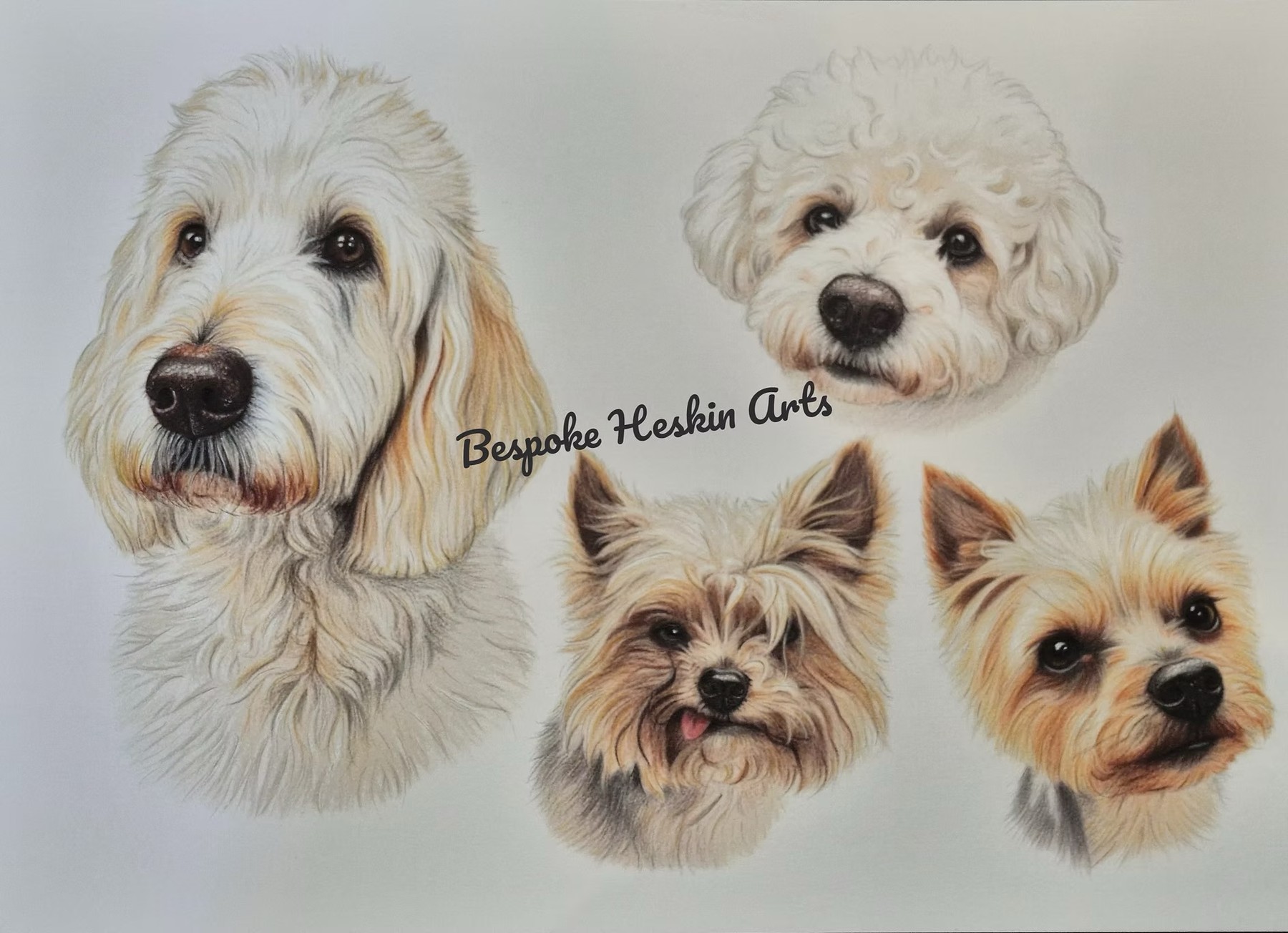 Multiple-pet portrait